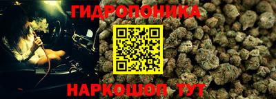 Альфа ПВП Партизанск
